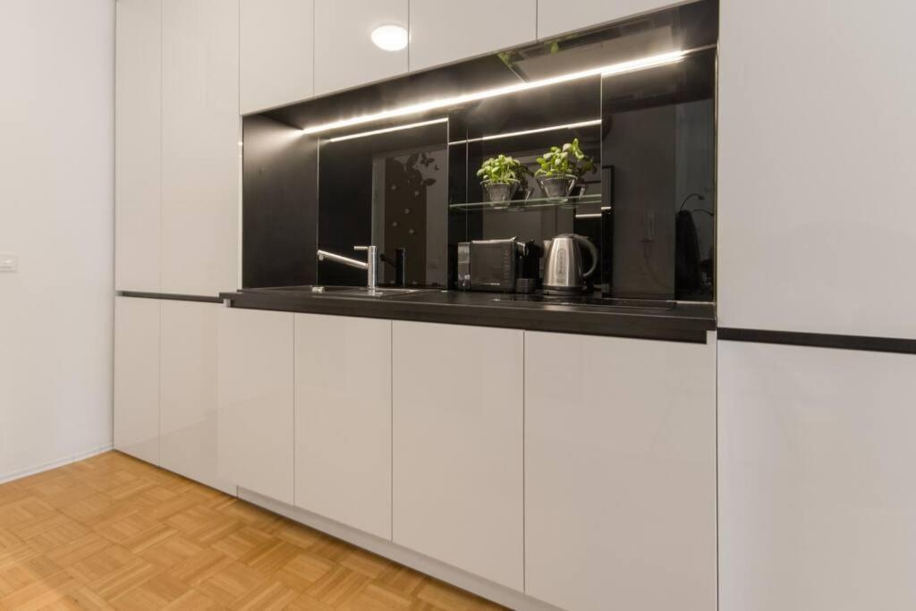 Gorgeous Central Flat With Garage Ljubljana Eksteriør billede